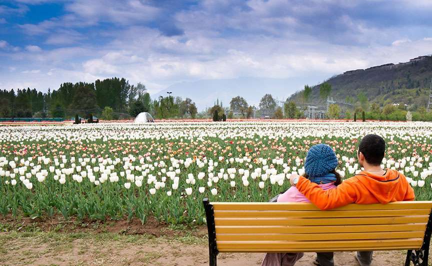 kashmir local travel agents